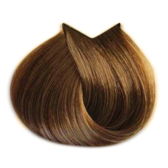 B.Life Color Ammonia Free Hair Color 100ml